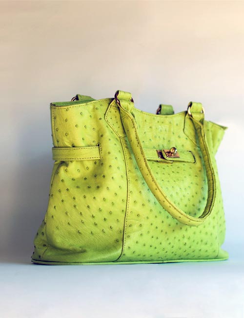 Capucines Mini Bag Ostrich Leather - Handbags N81279 | LOUIS VUITTON